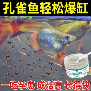孔雀鱼专用饲料促繁殖下崽鱼食幼鱼增色促长开口粮小型鱼粮观赏鱼
