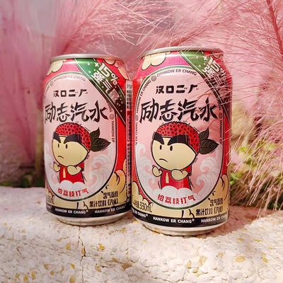 汉口二厂荔枝励志汽水荔枝味果汁饮料330ml*6罐果汁汽水