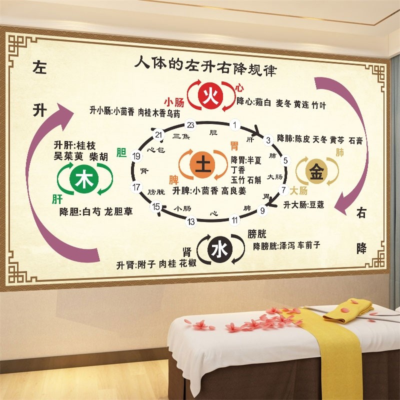 人体左升右降规律海报中医养生挂图美容院贴画PP背胶