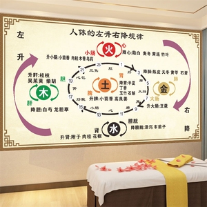 人体左升右降规律海报
