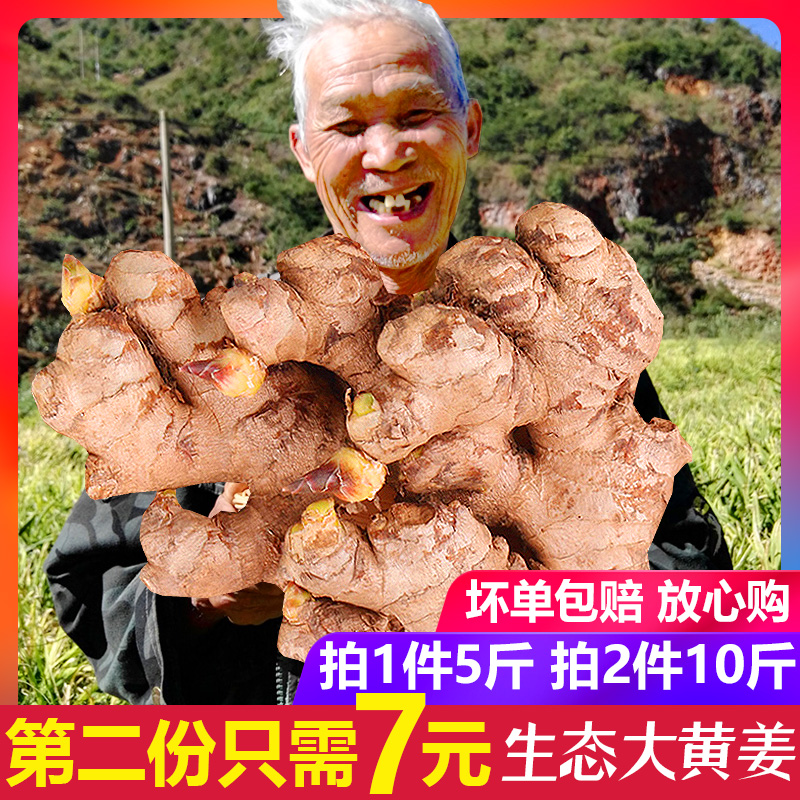 生姜新鲜老姜大黄姜月子姜怀姜小黄姜母嫩姜茶新姜5斤2件10斤包邮