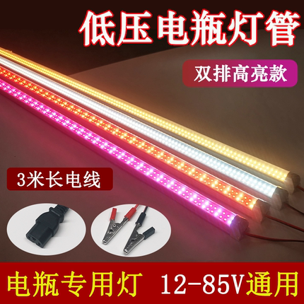 低压12-85V灯管摊位摆摊48V60V电动车三轮车电瓶夜市地摊专用灯
