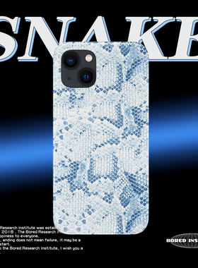 小众简约纹理蛇纹天蓝色赛博朋克艺术适用于苹果IPhone15/14plus/13pro/12/11/16/16promax菲林手机壳IMD软壳