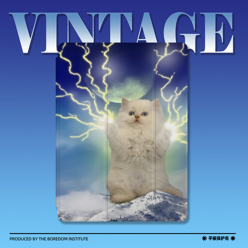 复古小众闪电猫咪可爱iPad保护壳
