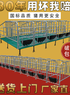 母猪定位栏母猪产床落地式加厚10位猪用限位栏厂家直销养殖设备