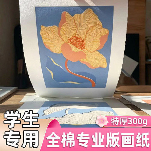 300g全棉版画纸a4a3学生专用