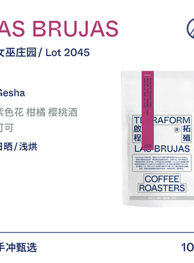 【Terraform】2024新产季 巴拿马女巫庄园日晒手冲瑰夏咖啡豆