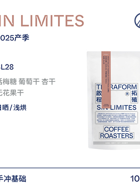 【Terraform】25产季 哥斯达黎加无限庄园SL28日晒手冲咖啡豆