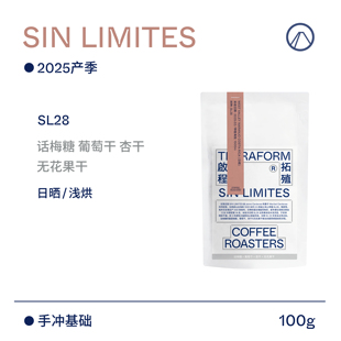 【Terraform】25产季 哥斯达黎加无限庄园SL28日晒手冲咖啡豆