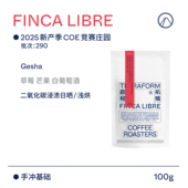 2025产季 Terraform 尼加拉瓜二氧化碳浸渍日晒处理瑰夏咖啡豆