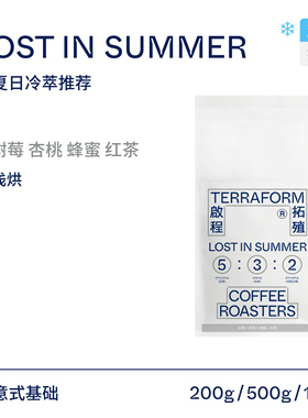【Terraform】 树莓 蜂蜜 Lost in summer夏季冷萃拼配咖啡豆200g