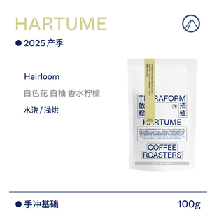【Terraform】25产季 白色花 香水柠檬 埃塞耶加雪菲水洗咖啡豆