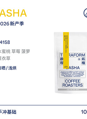 【Terraform】26新产季空运 埃塞西达摩BASHA日晒手冲咖啡豆
