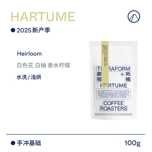 【Terraform】25产季 白色花 香水柠檬 埃塞耶加雪菲水洗咖啡豆