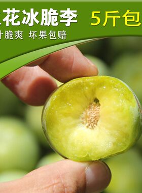 贵州紫云火花冰脆李脱骨李子应季水果孕妇酸甜爽口脱骨四月李包邮