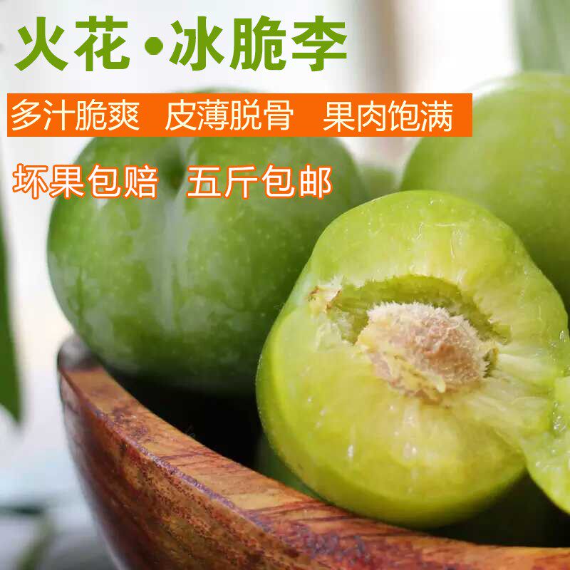 贵州紫云火花冰脆李新鲜当季水果脱骨李子酸甜可口皮薄多汁青脆李
