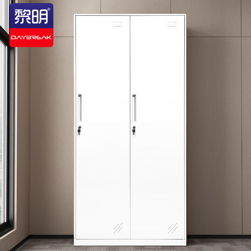 黎明 JGNP-9L 钢制2门更衣柜铁皮储物柜0.8mm加厚衣柜90*50*185cm