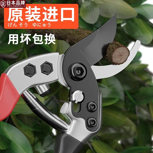 日本进口优选果树园艺修枝剪剪树枝专用剪刀花剪花艺枝条剪刀