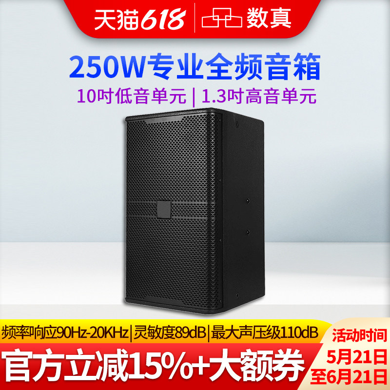 数真视频会议专业全频音箱10吋/12吋/15吋大功率250W300W500W会议室音响婚庆演出会议校园广播户外SZ-BT10