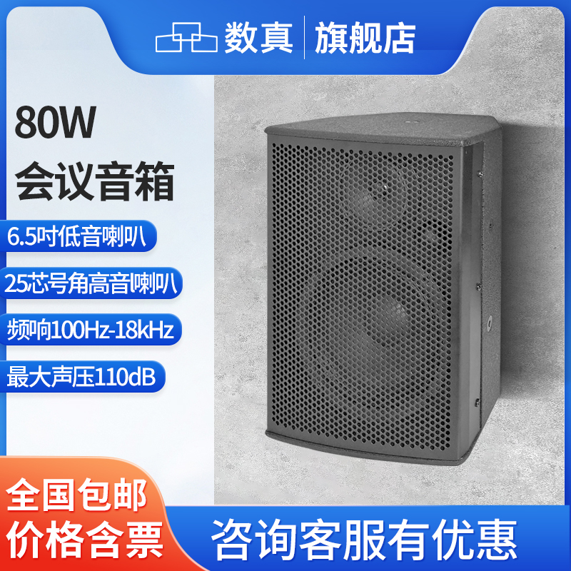 数真专业全频会议音响