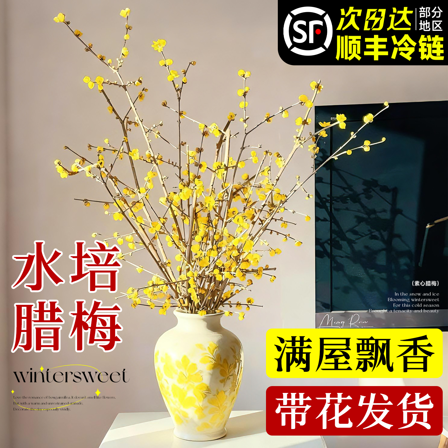 【热销榜top】腊梅花鲜切