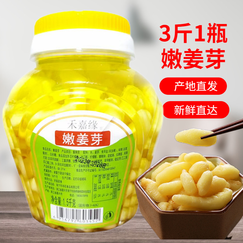 【嫩姜芽】仔姜鲜嫩姜芽酸甜嫩姜泡生姜泡姜芽酱菜爽口泡菜下饭菜