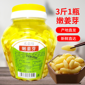 仔姜鲜嫩姜芽酸甜嫩姜泡生姜泡姜芽酱菜爽口泡菜下饭菜 嫩姜芽