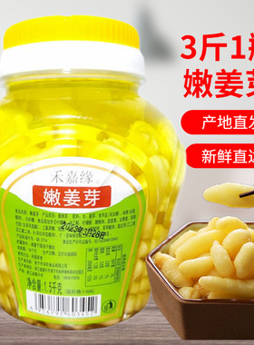 【嫩姜芽】仔姜鲜嫩姜芽酸甜嫩姜泡生姜泡姜芽酱菜爽口泡菜下饭菜