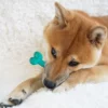 Товары от by小铺