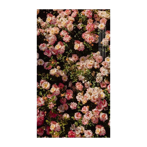 玫瑰花文艺钻石装饰画小清新2025新款客厅过道挂画手工贴钻十字绣
