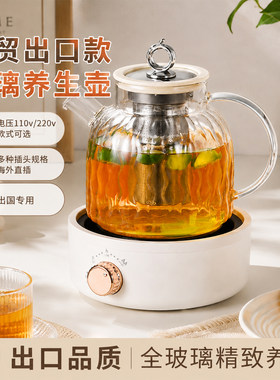 110v伏电压养生壶美国日本出口海外加拿大全玻璃烧水煮茶壶小家电