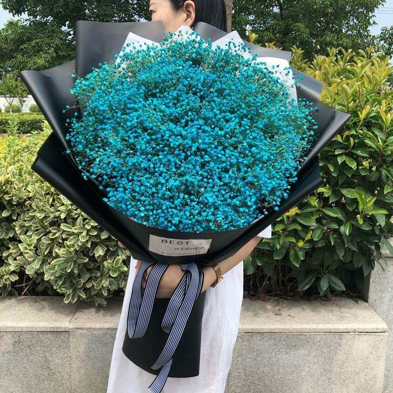 满天星大花束巨型手捧花拍照道具520情人节礼物送女友超大束长辈