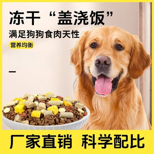 5斤装通用狗粮便宜实惠