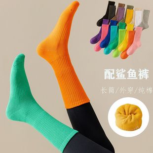 长筒袜女外穿配鲨鱼裤瑜伽舞蹈袜子纯棉毛巾底长袜彩色运动健身潮