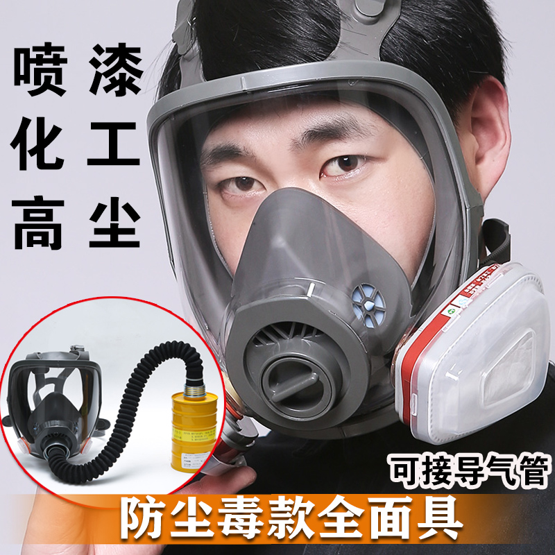 防毒面具可插管全面具防甲醛粉尘