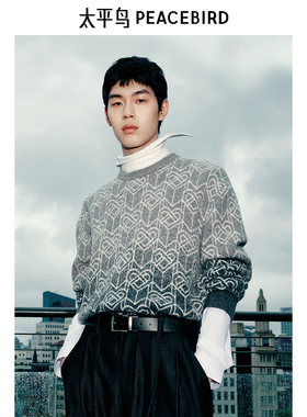 太平鸟男装 2025年春季潮流渐变毛衣男B2EBF1125