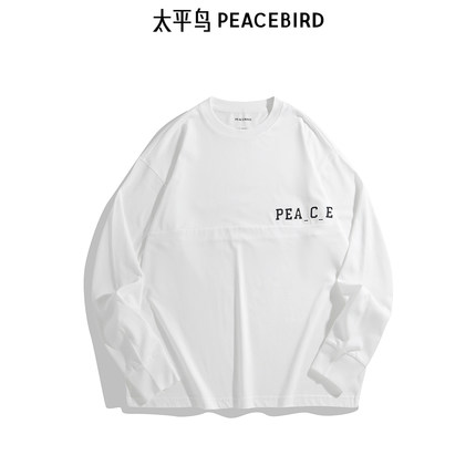 【商场同款】太平鸟男装 T恤24秋重磅刺绣t恤 B2CPE3133