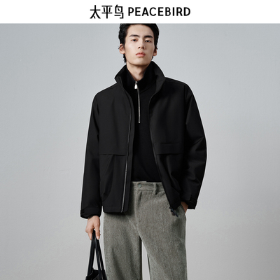 【商场同款】太平鸟男装卫衣25冬季新款立领质感上衣 B1CRF4440
