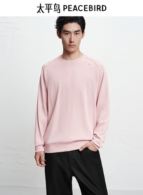 【商场同款】太平鸟男装 2025年冬季新款圆领套头卫衣B1CRF4434