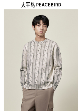 【商场同款】太平鸟男装绞花图案毛衣24秋新圆领毛线衫B1EBE3315