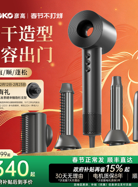 AKOKO彦高电吹风机高速家用护发等离子速干大功率理发店专用风筒