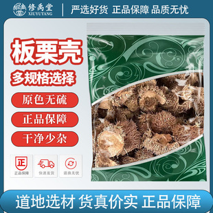 板栗壳栗刺壳风栗壳板粟刺粟子刺壳