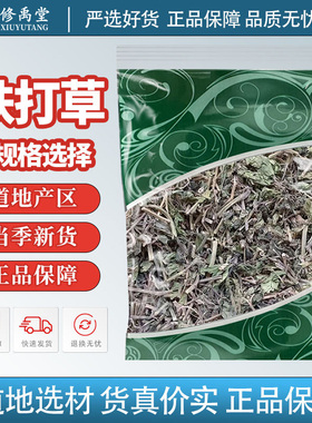 跌打草中药材正品新货盗偷草中草药十万错