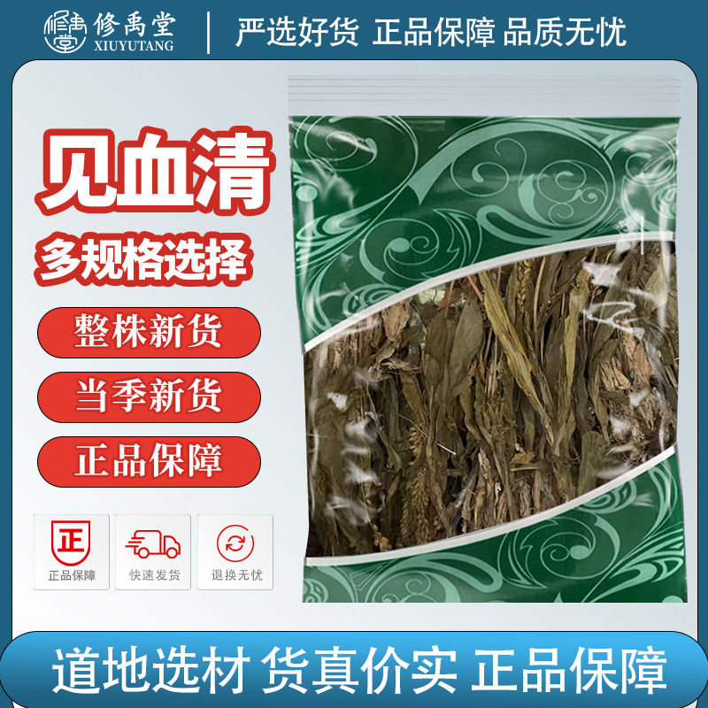 见血清中药材羊耳蒜立地好正品新货见血清