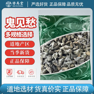 鬼见愁中药材鬼不缠乌菱干货风菱菱角壳