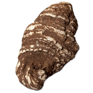 重楼2250g500克精选特大中药材金线重楼切重楼片七叶一枝花