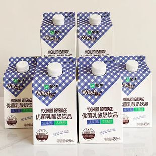 蒙牛优菌乳酸奶饮品原味生牛乳木糖醇乳酸菌营养酸奶早餐奶458ml