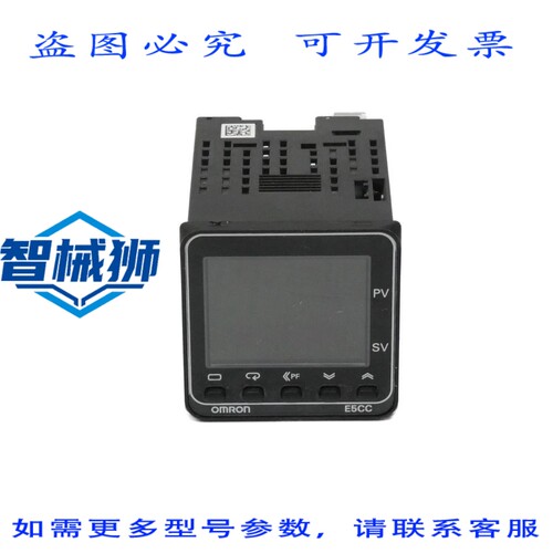 现货供应 E5CC-RX3A5M-000 版本.2.1 100-240VAC 2A NSNP