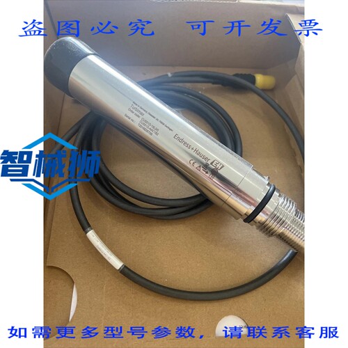 现货供应 ENDRESS+HAUSER/TURBIMAX/CUS51D-AAC1B2 传感器