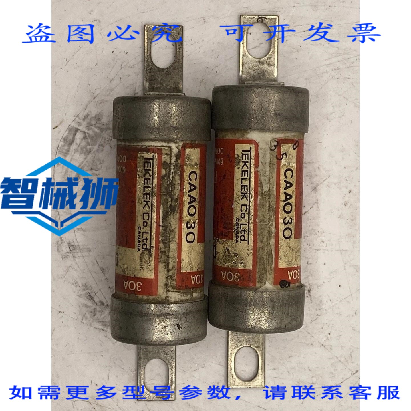 现货供应 两件装 DORMAN SMITH CAAO 30A 30AMP 415V 熔断器